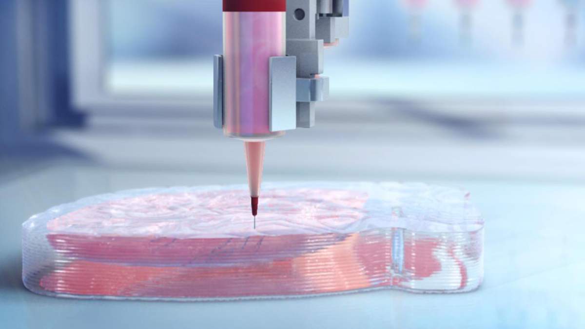 Вперше надрукували живе серце на 3D-принтері: фото
