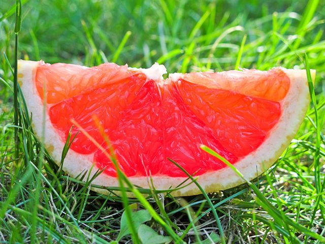 Ученые: Грейпфрут помогает бороться с раком Ученые: Грейпфрут помогает бороться с раком