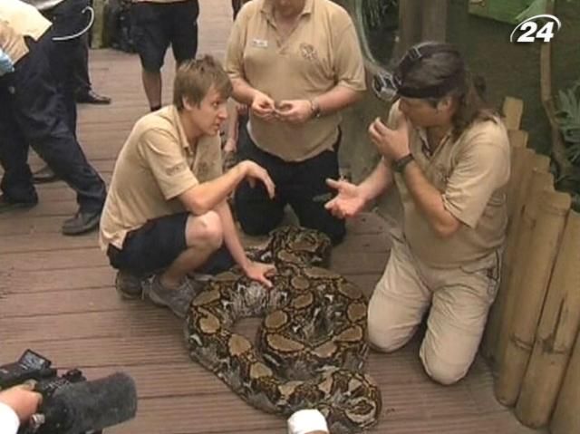 В Британии провели медицинский осмотр самой длинной змеи в Европе В Британии провели медицинский осмотр самой длинной змеи в Европе