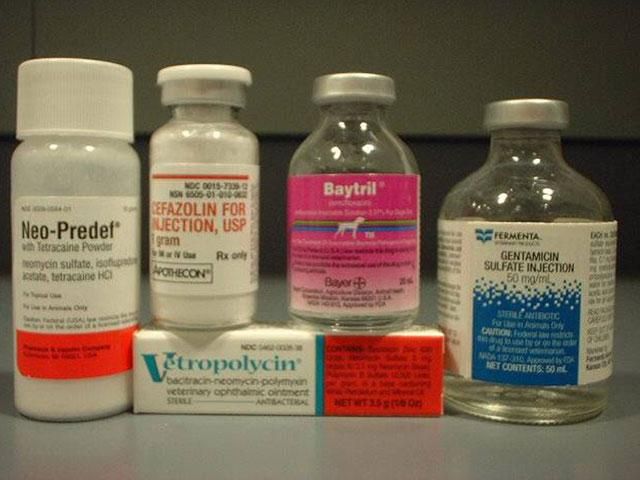 15 вересня. День в історії - 15 вересня 2012 - Телеканал новин 24 15 вересня. День в історії - 15 вересня 2012 - Телеканал новин 24