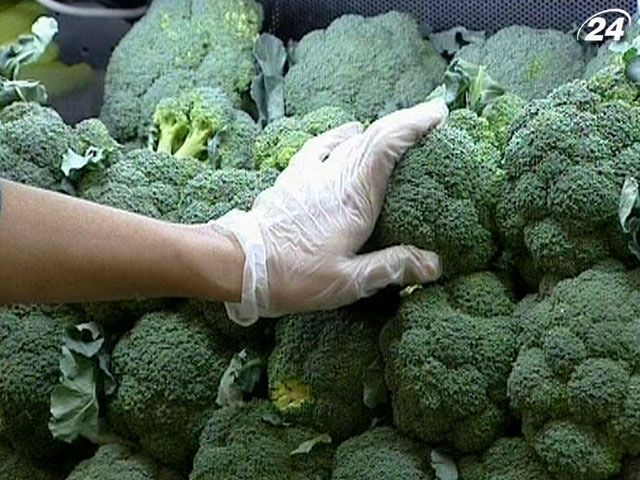 Французские ученые доказали связь между раком и ГМО Французские ученые доказали связь между раком и ГМО