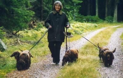 Бороться со старением мозга помогут физические упражнения Бороться со старением мозга помогут физические упражнения