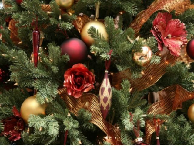 Медики предостерегают: новогодние елки опасны для здоровья
