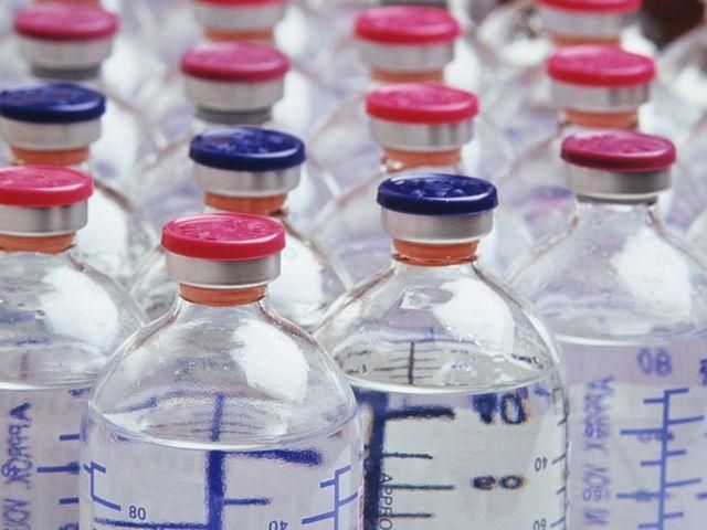 Епідемії свинячого грипу в Україні не буде, - експерти Епідемії свинячого грипу в Україні не буде, - експерти