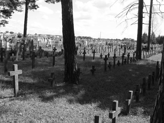 Украина - в десятке стран мира с самой высокой смертностью, - ЦРУ Украина - в десятке стран мира с самой высокой смертностью, - ЦРУ