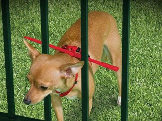 Гормон задоволення допомагає креативно мислити Гормон задоволення допомагає креативно мислити