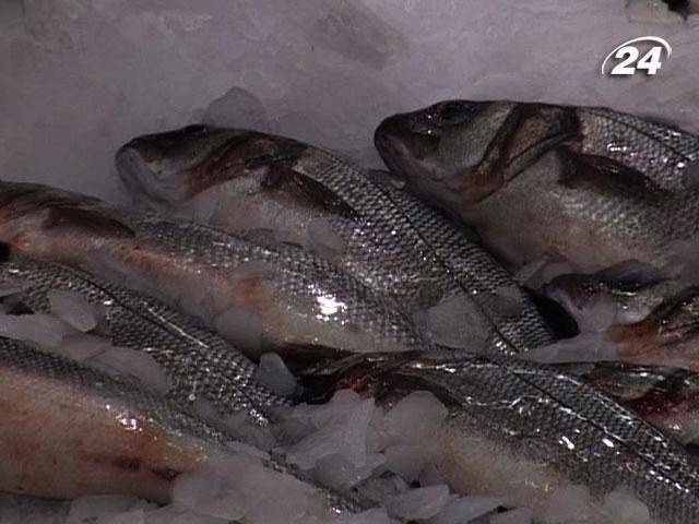 Крупним планом: Чи безпечна риба з українських водойм? Крупним планом: Чи безпечна риба з українських водойм?