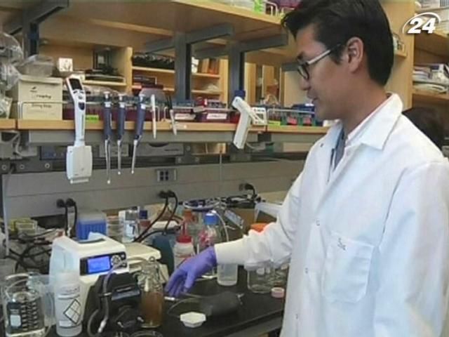 Американські науковці розробили прототип штучної нирки