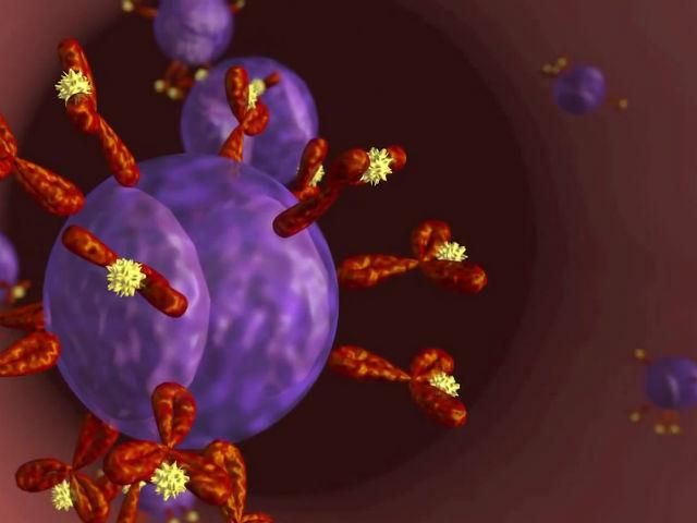 Факты о здоровье. Каждый четвертый украинец страдает от аллергии Факты о здоровье. Каждый четвертый украинец страдает от аллергии