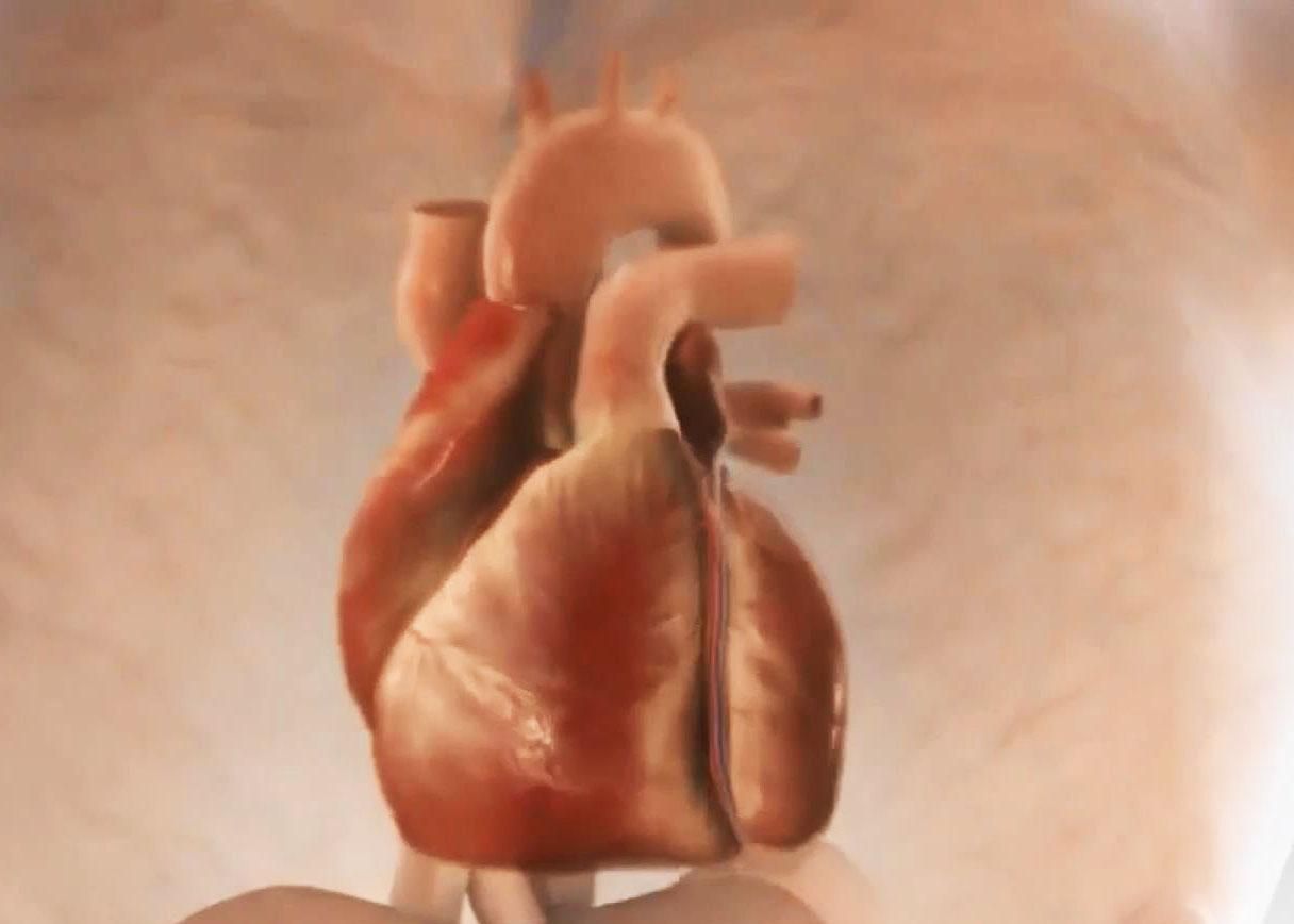 Факти про здоров'я. П'ять правил для здорового серця Факти про здоров'я. П'ять правил для здорового серця