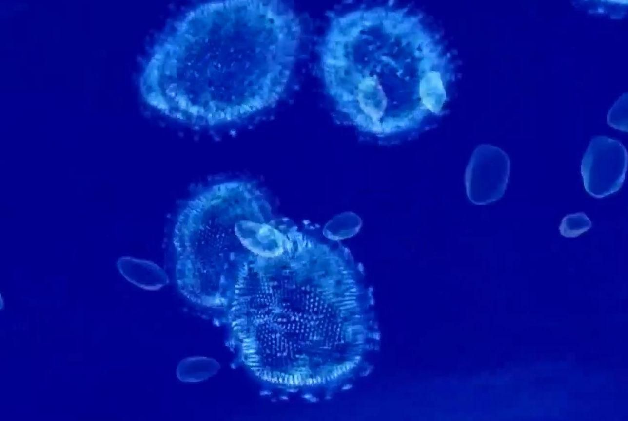 Факти про здоров'я. Чому чоловіки хворіють на грип? Факти про здоров'я. Чому чоловіки хворіють на грип?