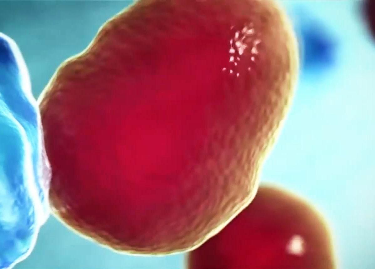 Линия жизни. Доноры живут дольше на 5-8 лет Линия жизни. Доноры живут дольше на 5-8 лет