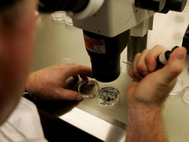 У Японії народилась дитина з яйцеклітини, замороженої 13 років тому У Японії народилась дитина з яйцеклітини, замороженої 13 років тому