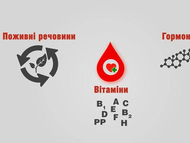 Линия жизни: Столетие назад человечество научилось делать переливание крови Линия жизни: Столетие назад человечество научилось делать переливание крови