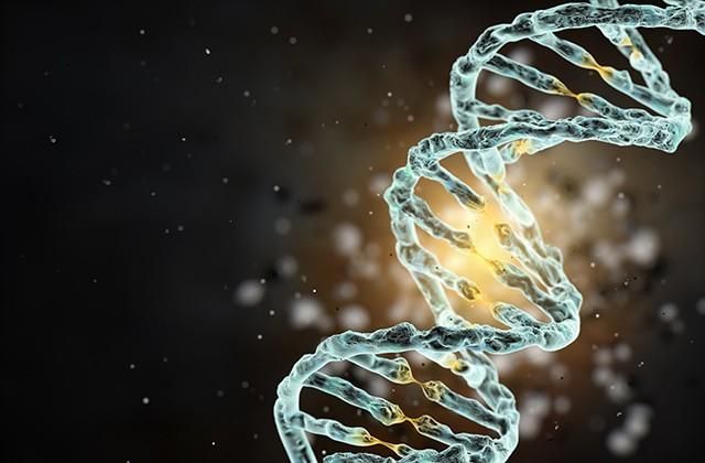 Фізичні вправи змінюють наш ДНК, — вчені Фізичні вправи змінюють наш ДНК, — вчені