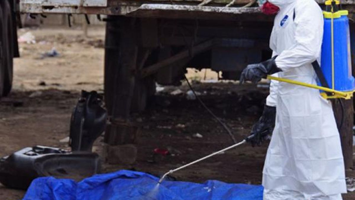 Количество жертв Эболы приближается к 8 тысячам