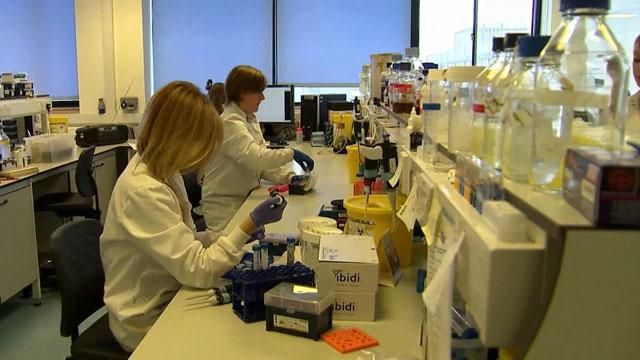 У Великобританії народжуватимуться діти від трьох батьків У Великобританії народжуватимуться діти від трьох батьків