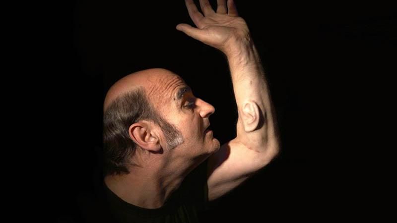 Австралієць виростив вухо і вшив його собі у руку Австралієць виростив вухо і вшив його собі у руку