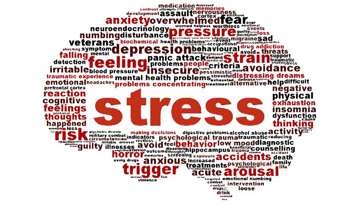 ТОП-10 продуктов для преодоления стресса