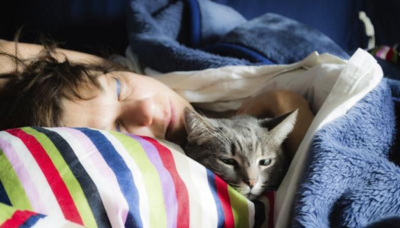 Що допоможе зробити сон міцним Що допоможе зробити сон міцним