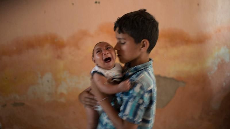 Страшний невиліковний вірус вирує у Бразилії Страшний невиліковний вірус вирує у Бразилії