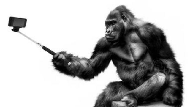 Психологи объяснили, в чем популярность селфи