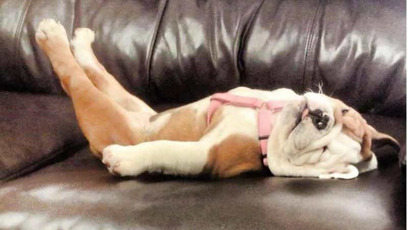 Психолог назвал действенные способы для преодоления бессонницы Психолог назвал действенные способы для преодоления бессонницы