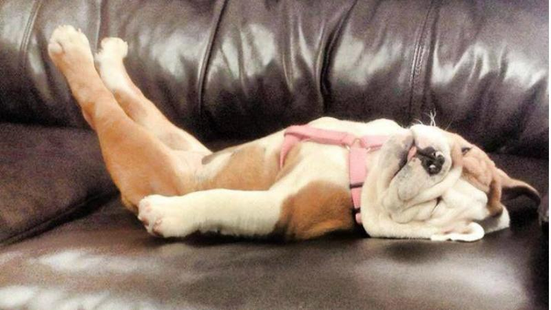 Психолог назвал действенные способы для преодоления бессонницы