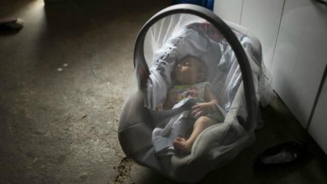 В Індії заявили, що знайшли вакцину проти небезпечного вірусу Зіка В Індії заявили, що знайшли вакцину проти небезпечного вірусу Зіка