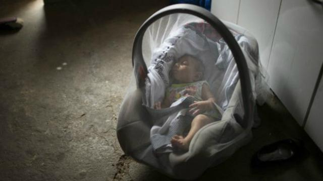 В Індії заявили, що знайшли вакцину проти небезпечного вірусу Зіка 