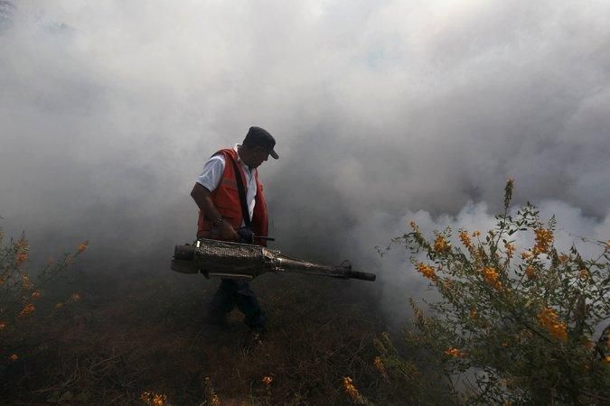 ВООЗ назвала вірус Зіка глобальною загрозою ВООЗ назвала вірус Зіка глобальною загрозою