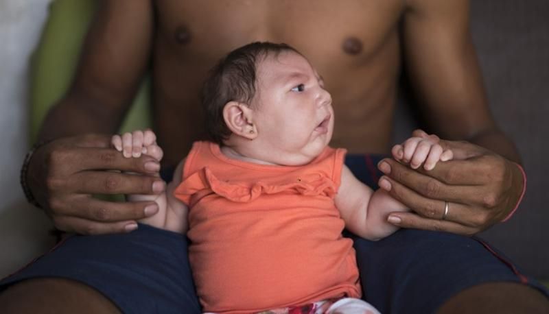 Через вірус Зіка у Флориді ввели надзвичайний стан Через вірус Зіка у Флориді ввели надзвичайний стан