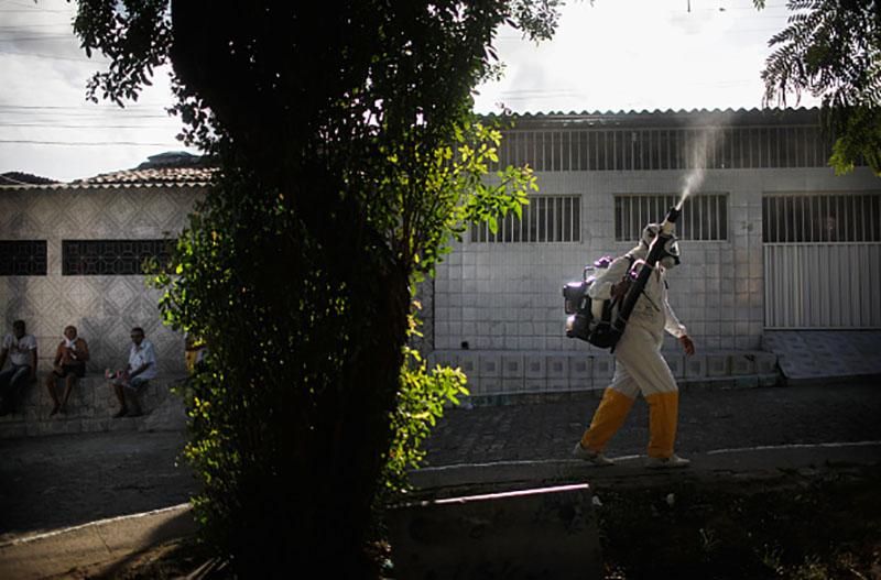 Цифра дня: сколько надо денег, чтобы побороть вирус Зика Цифра дня: сколько надо денег, чтобы побороть вирус Зика