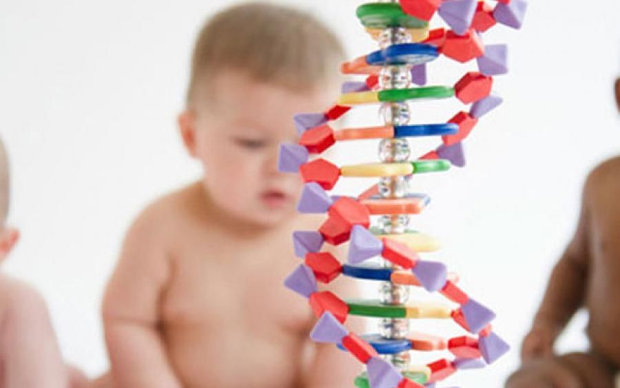 Запрет ГМО может привести к смерти Запрет ГМО может привести к смерти