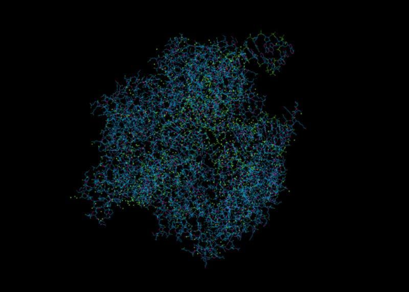 Вчені зробили важливий крок для лікування ВІЛу Вчені зробили важливий крок для лікування ВІЛу
