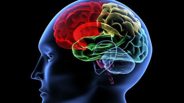 Вчені застерігають: дефіцит вітаміну Е призводить до пошкодження мозку