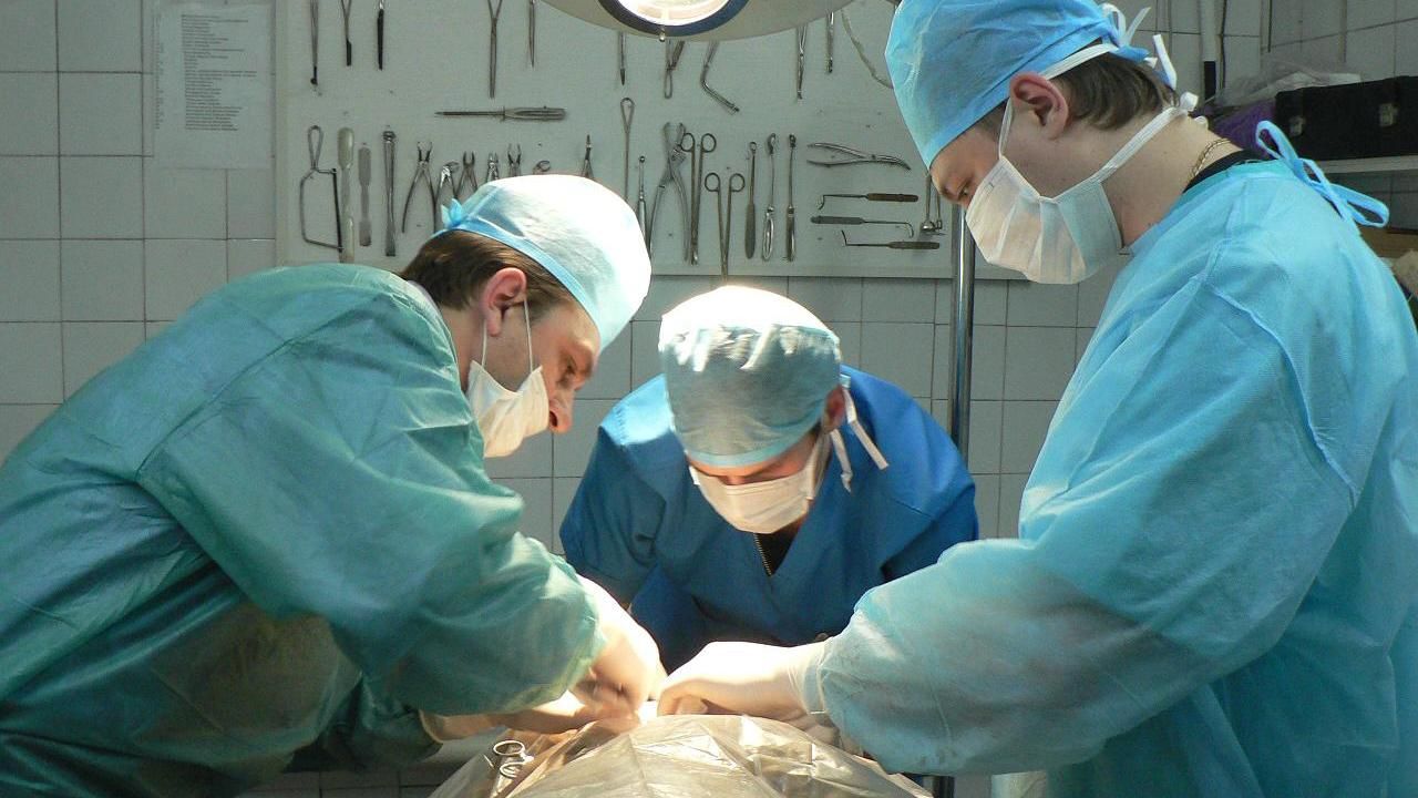 На посаду міністра охорони здоров'я лікарів краще не призначати, — Квіташвілі На посаду міністра охорони здоров'я лікарів краще не призначати, — Квіташвілі