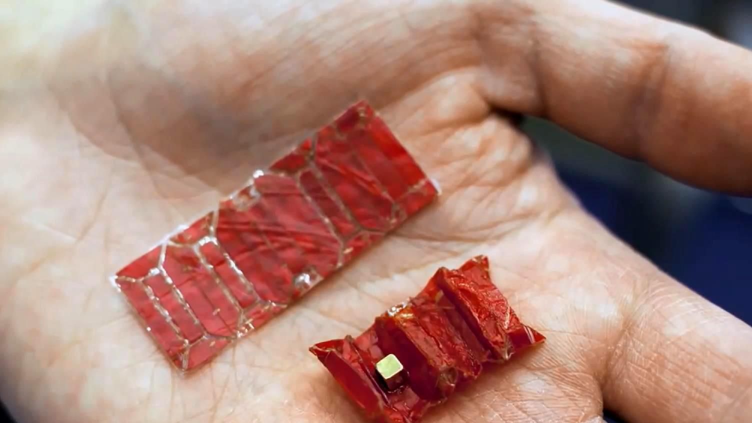 Вчені створили прототип робота, здатного проникати у шлунок Вчені створили прототип робота, здатного проникати у шлунок