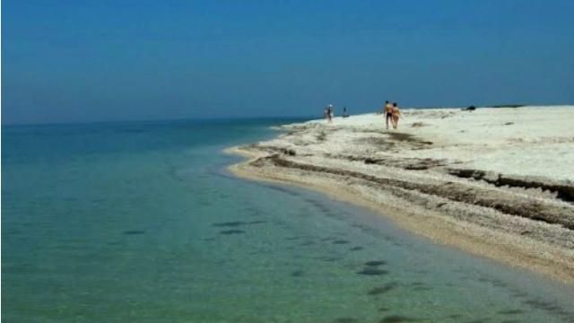 Опасный вирус Зика может вспыхнуть на побережье Черного моря Опасный вирус Зика может вспыхнуть на побережье Черного моря