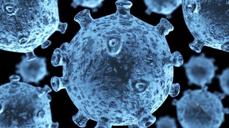 Американским ученым удалось удалить ВИЧ из организма животных Американским ученым удалось удалить ВИЧ из организма животных