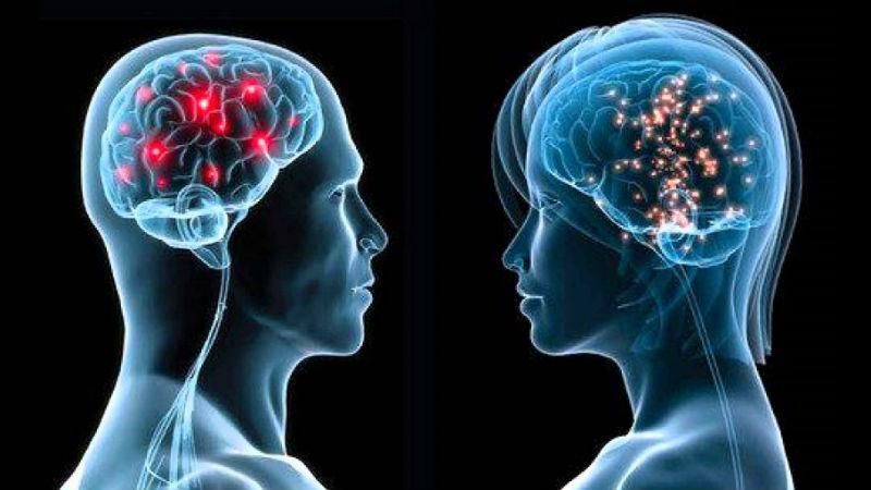 Новая ступень в понимании смерти: ученые попытаются регенерировать мертвый мозг Новая ступень в понимании смерти: ученые попытаются регенерировать мертвый мозг