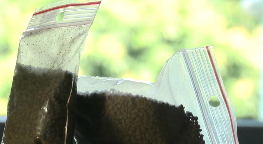 На рынках столицы рядом со специями продают опасный наркотик