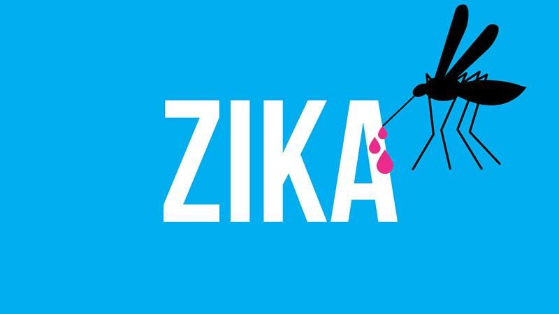 В Европе растет риск передачи Зика: советы украинцам В Европе растет риск передачи Зика: советы украинцам