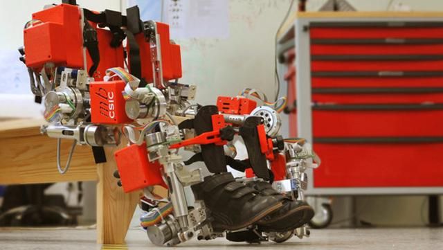 Іспанці розробили перший екзоскелет, призначений для малюків Іспанці розробили перший екзоскелет, призначений для малюків