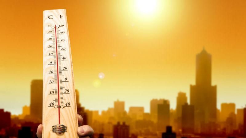 Как питаться в жару: полезные советы Как питаться в жару: полезные советы