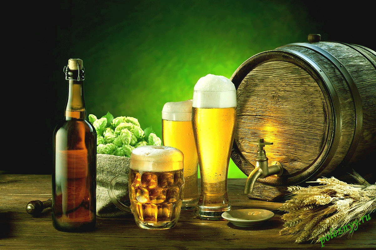 Якими корисними властивостями володіє пиво: досвід предків