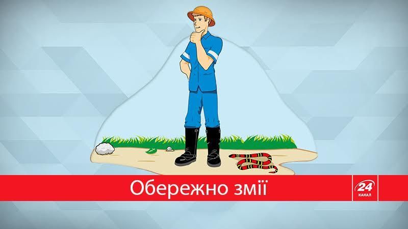 Що робити, якщо вас вкусила змія? Покрокова інструкція Що робити, якщо вас вкусила змія? Покрокова інструкція