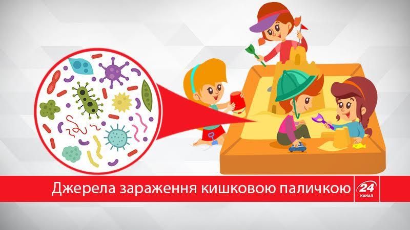 Як не підхопити кишкову паличку: корисні поради Як не підхопити кишкову паличку: корисні поради