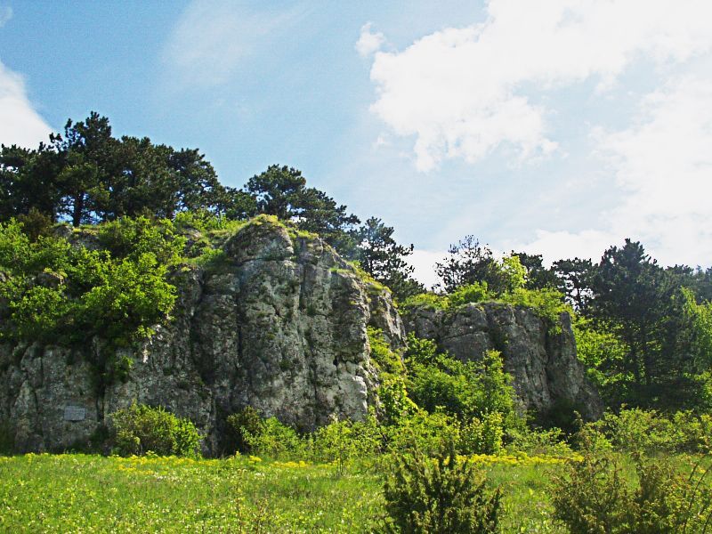 Уникальные места Украины, которые стоит увидеть этим летом Уникальные места Украины, которые стоит увидеть этим летом