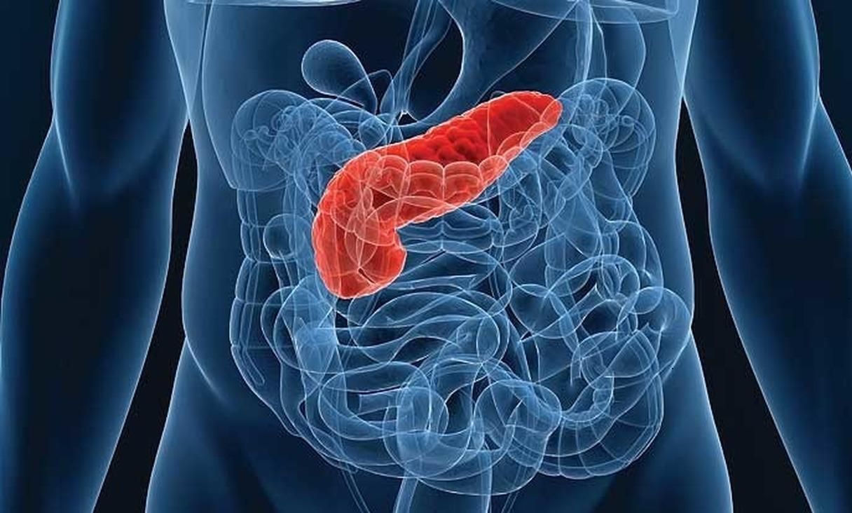 Науковці заявили про створення прототипу надважливого органу травлення Науковці заявили про створення прототипу надважливого органу травлення